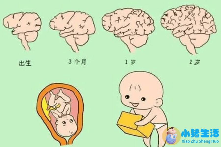 0至3岁幼儿早期教育