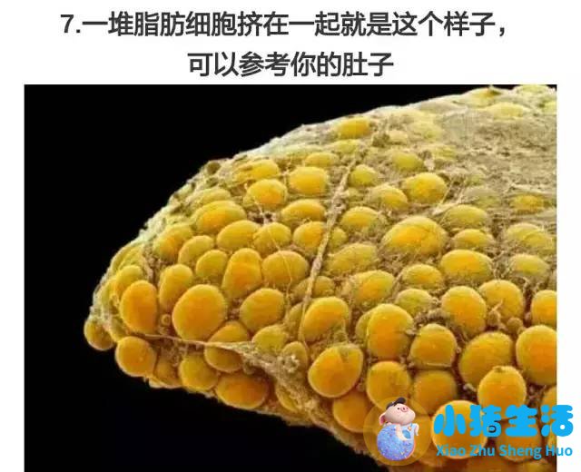 局部减肥有用吗?