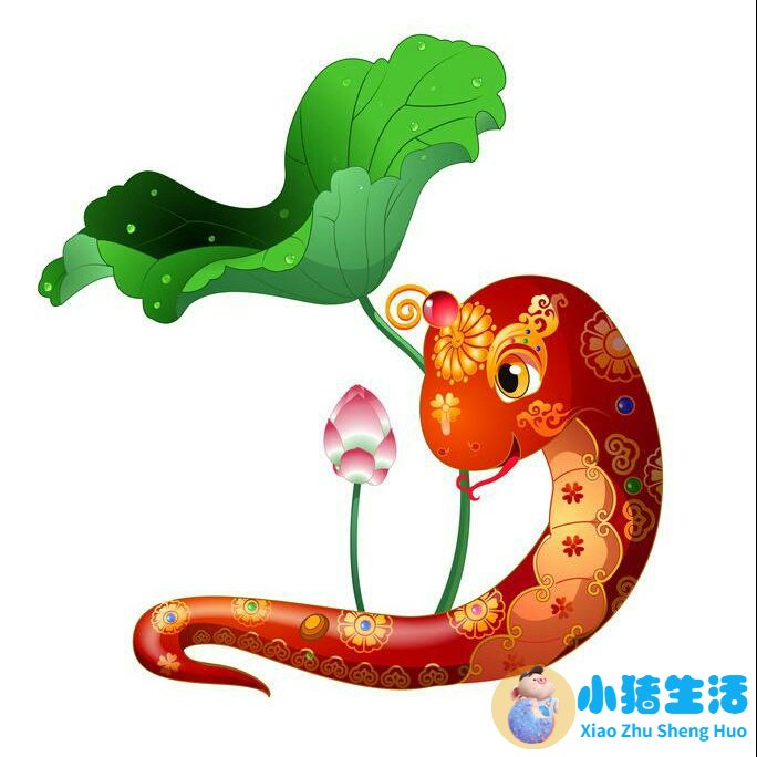 怎么追求属蛇的女孩