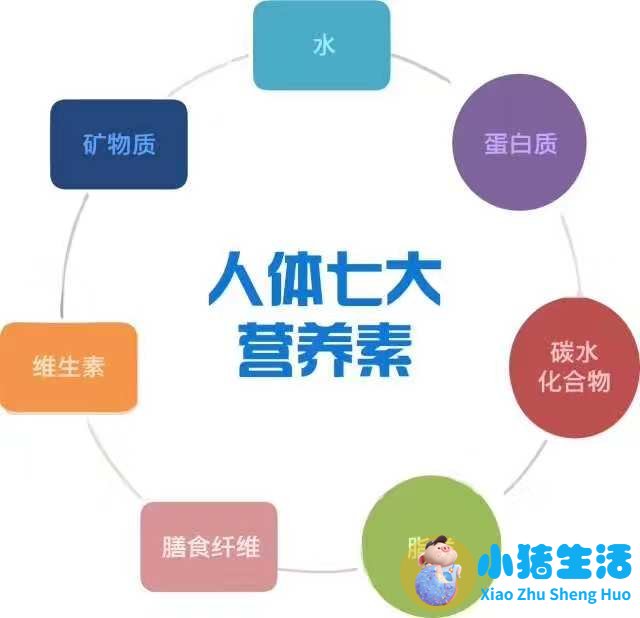 有关溶脂性维生素海报