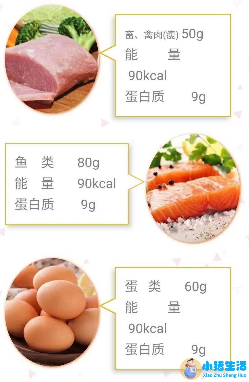 有关溶脂性维生素海报