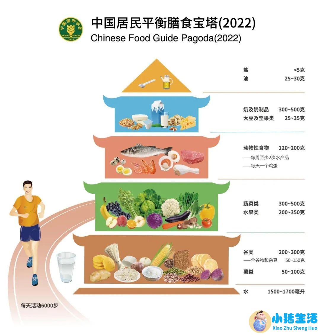 科学减肥健康吃