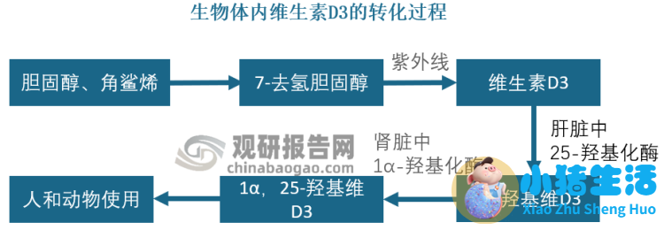 有关溶脂性维生素海报