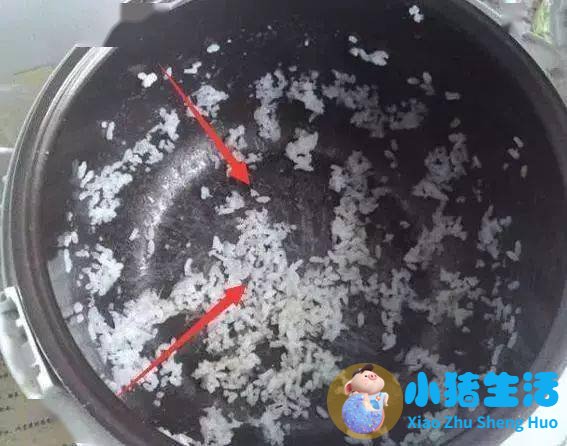 生活百科知识竞赛题库