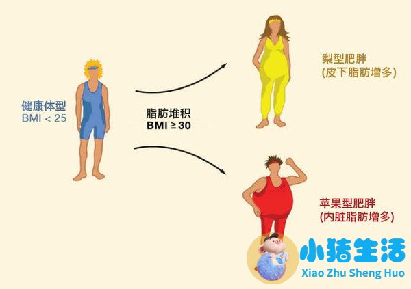 局部减肥有用吗?