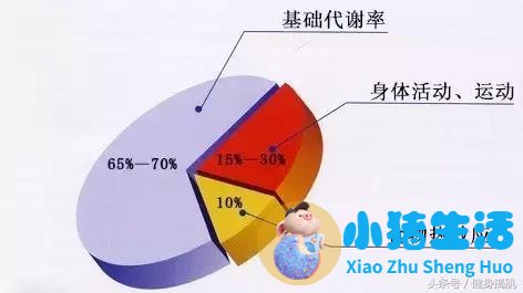 局部减肥有用吗?