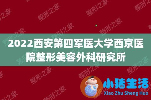 韩国微整形培训学校