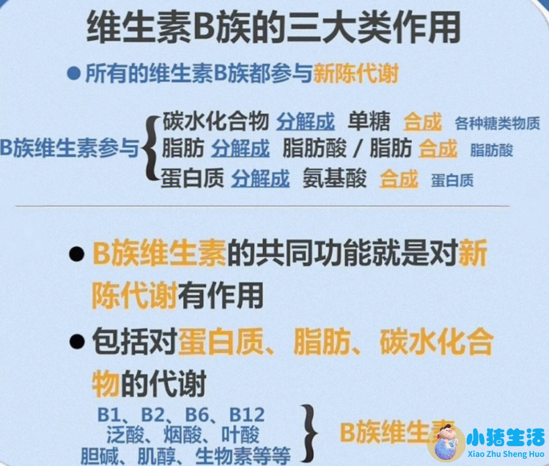 有关溶脂性维生素海报