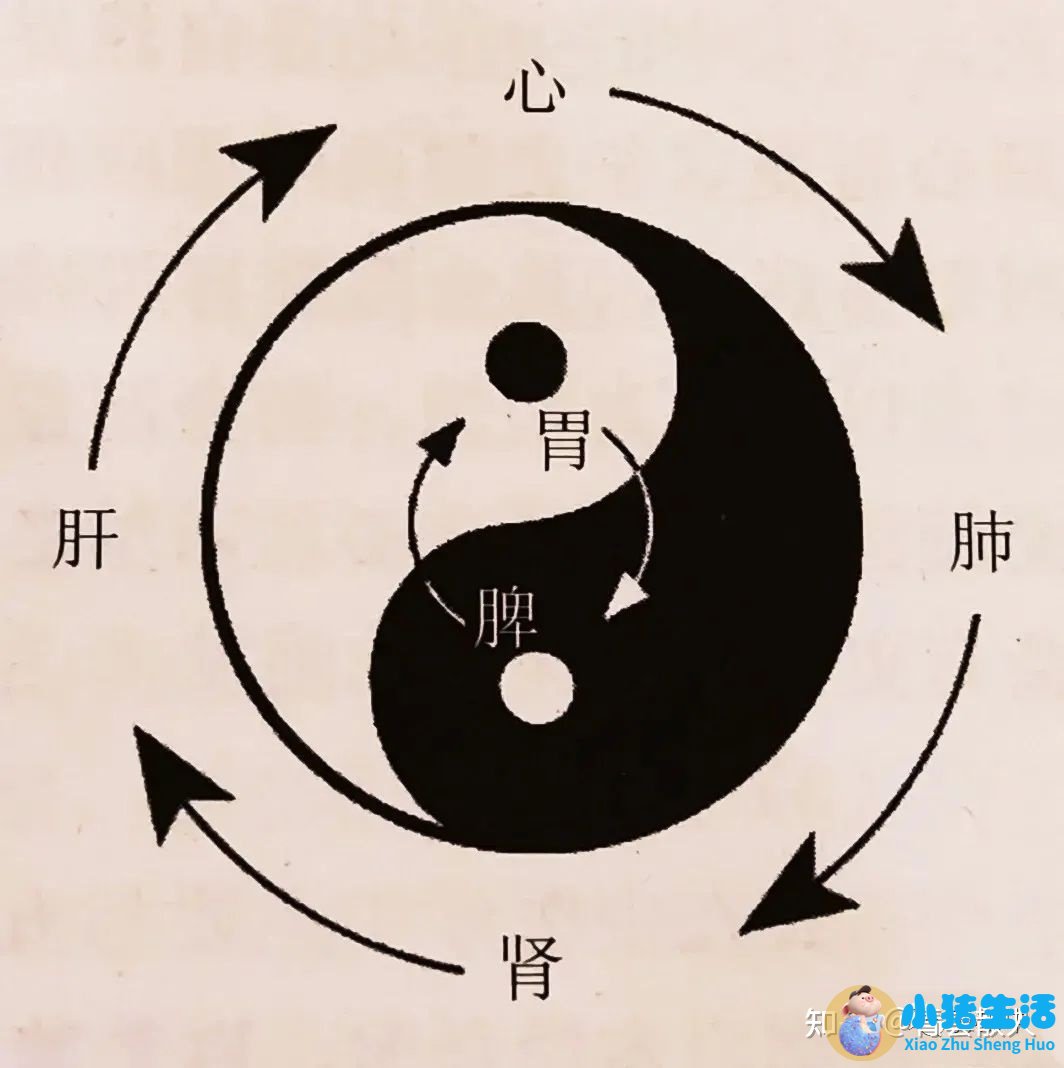 秋冬养生女性