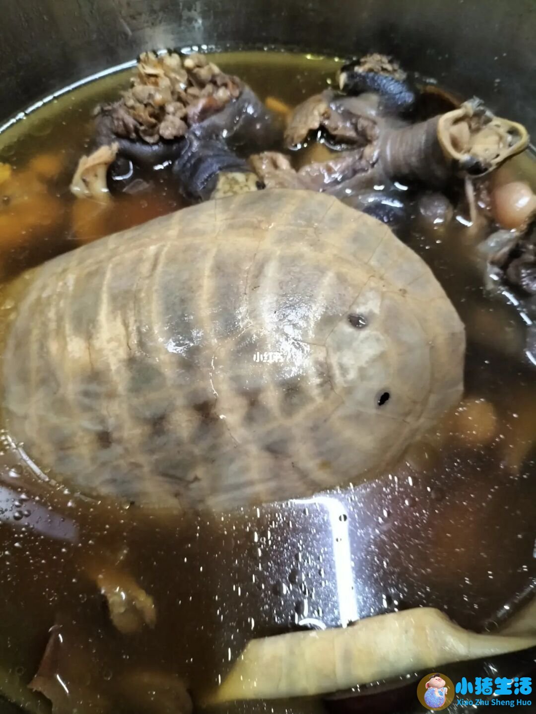秋冬养生女性