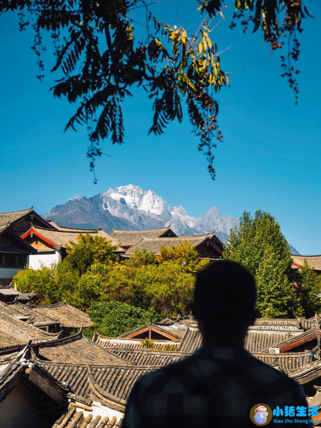 丽江一月份旅游指南