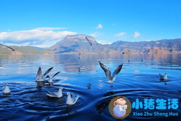 丽江一月份旅游指南