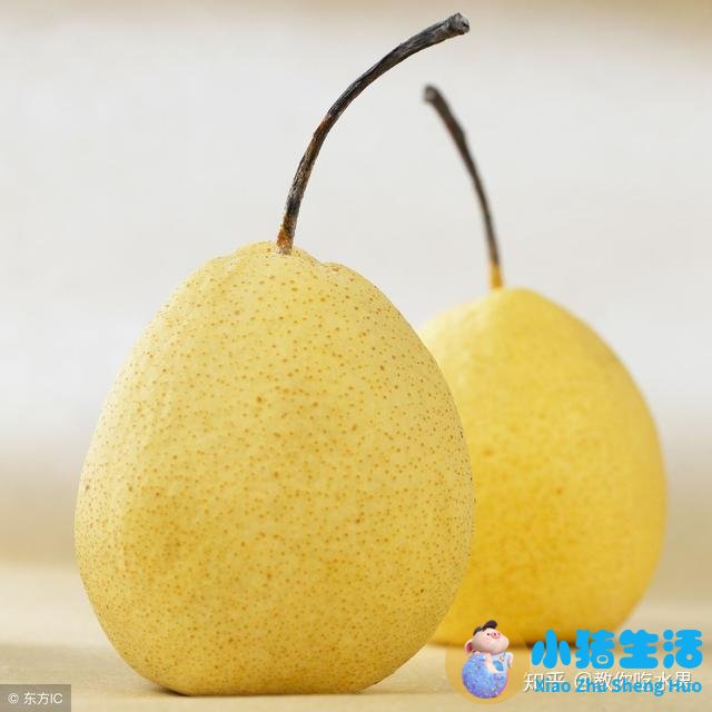 吃什么可以防止掉头发