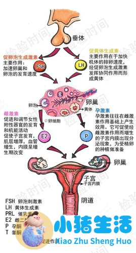 如何治老公对娘家不好