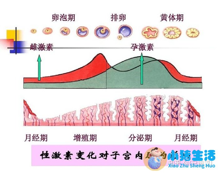 如何治老公对娘家不好