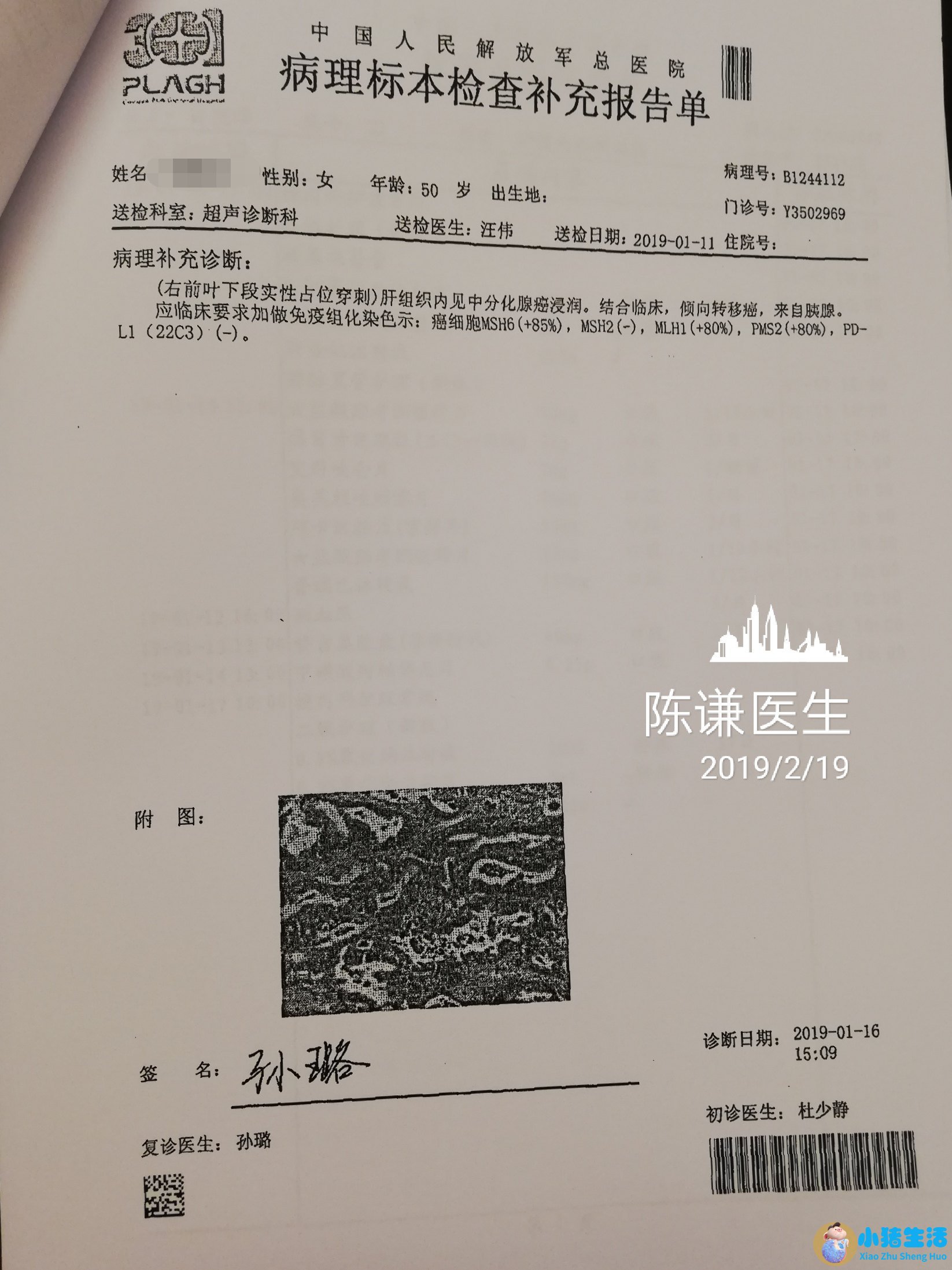 肠胃中医康复阮老师是真的吗
