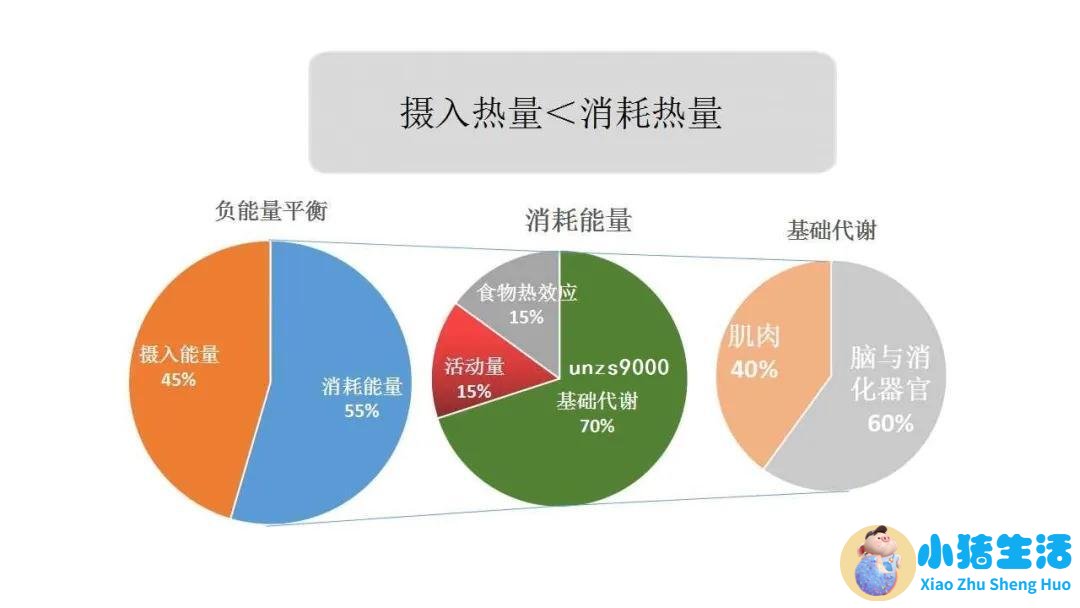 女生健康减肥方法