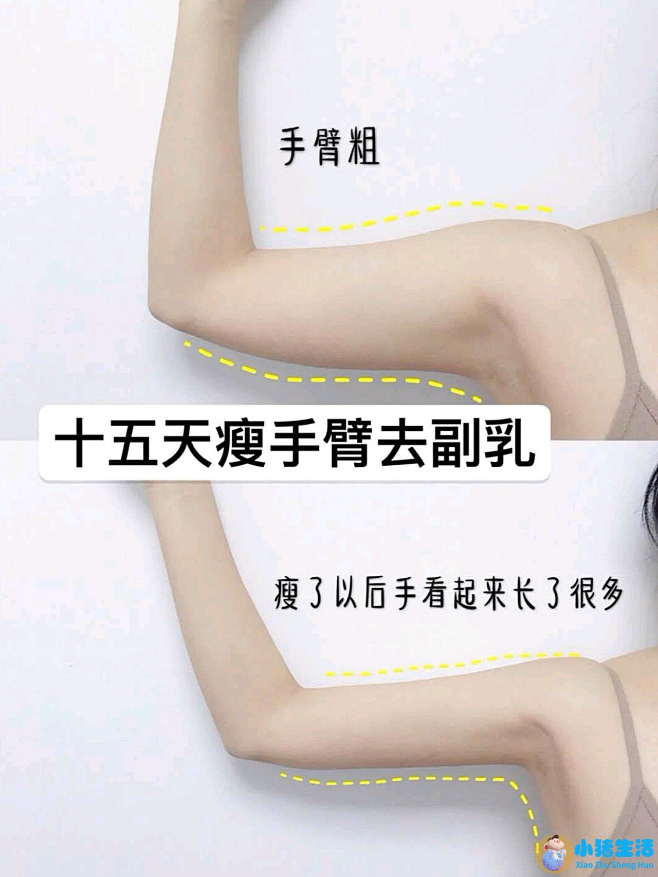 一个月科学减肥计划表