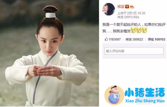 种植头发需要花多少钱才够？看到这些以