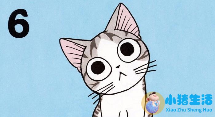 种植头发需要花多少钱才够?看到这些以后我被吓到了!