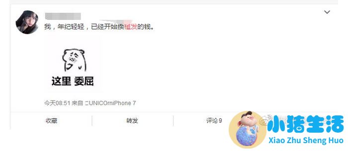 种植头发需要花多少钱才够?看到这些以后我被吓到了!