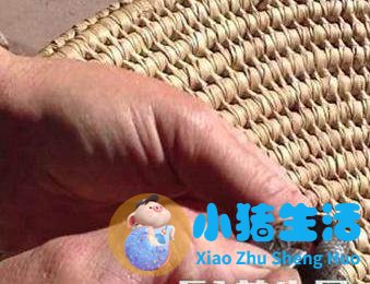 澳洲男子看幼蛇痛苦，划开肚子后，发誓不养蛇了！