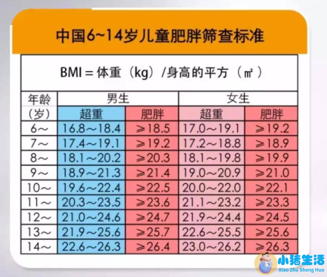 儿童科学减肥一本通：我不当小胖墩儿