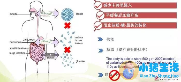 亲测：坚持一个月不吃糖，身体竟然发生了这些变化....