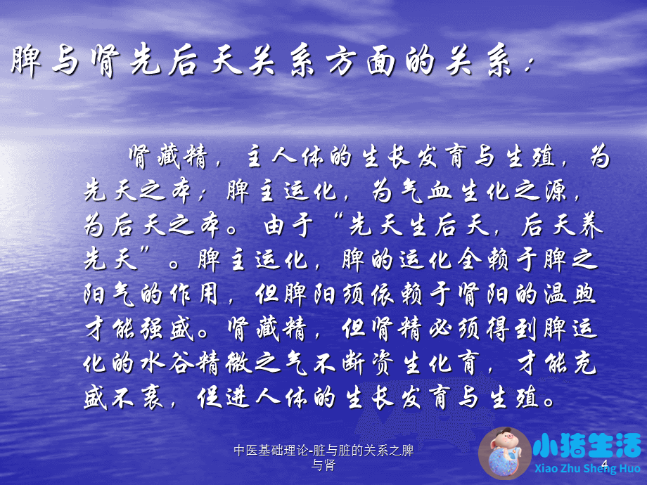 澳洲有哪些补肾药