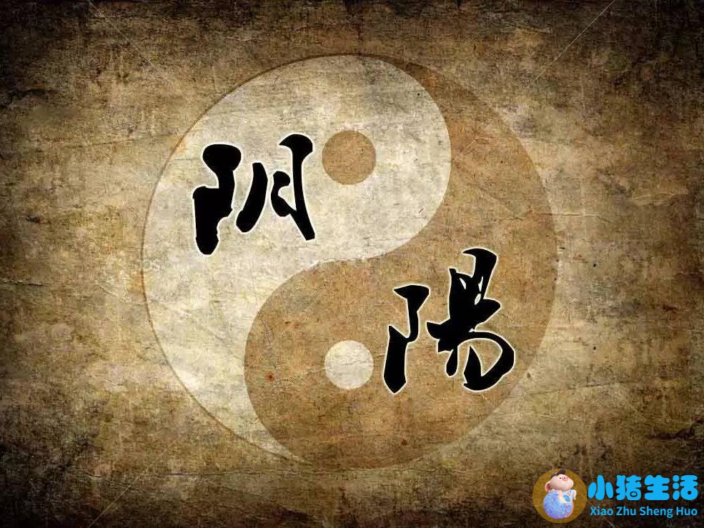 澳洲有哪些补肾药