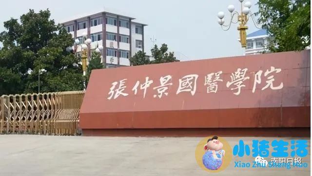 南阳新闻张仲景医学交流会