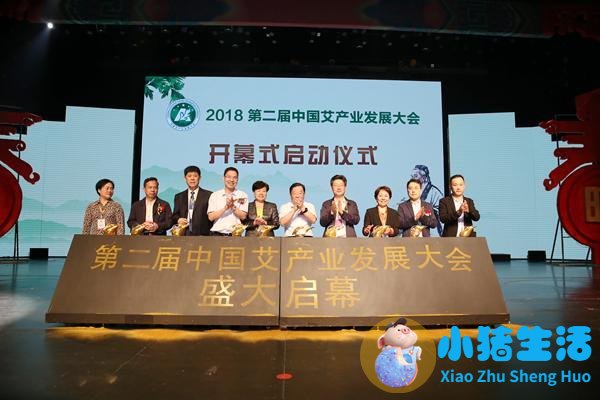 2018年度南阳市中医药工作十大新闻发布