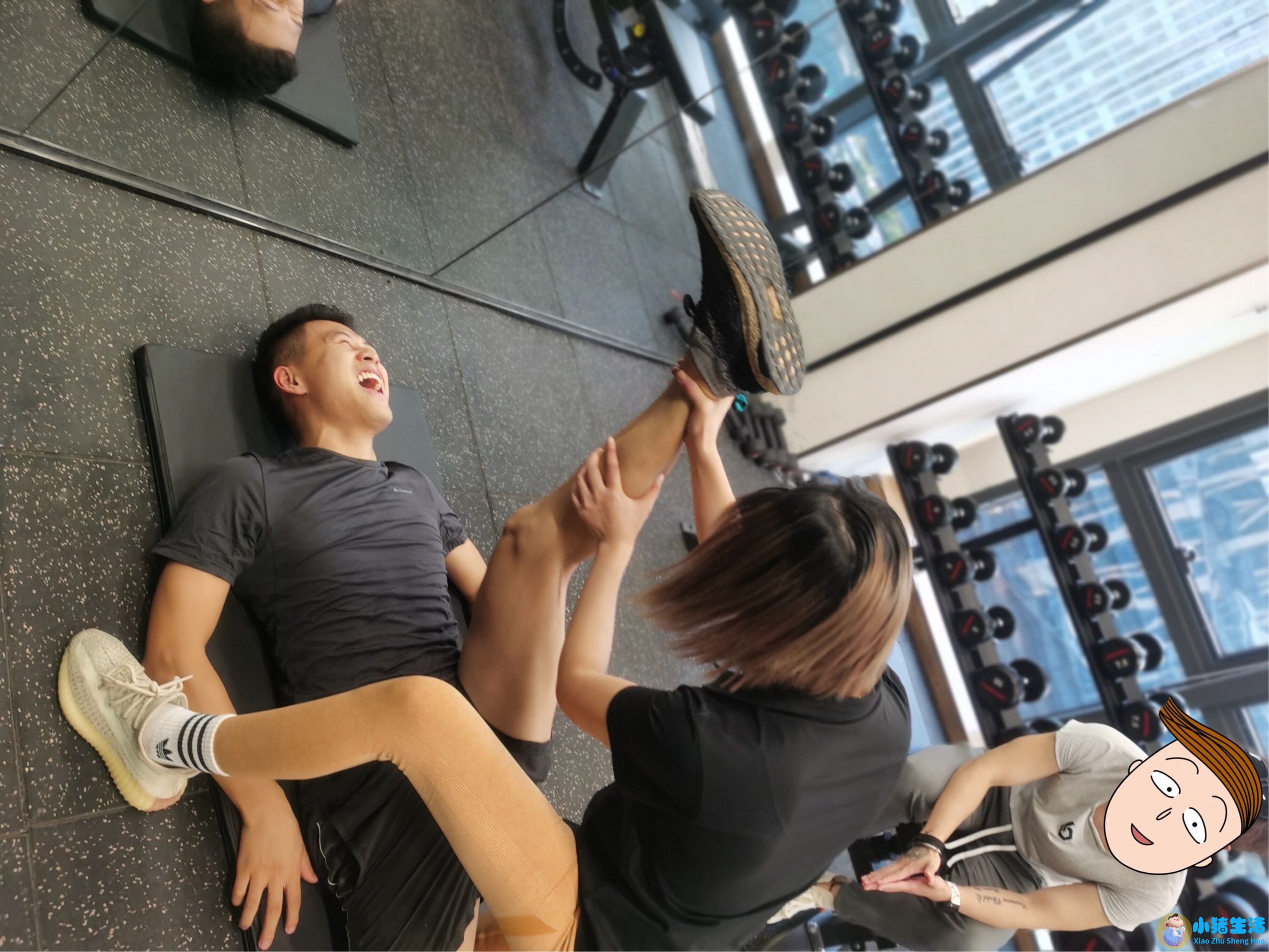 健身房运动减肥计划