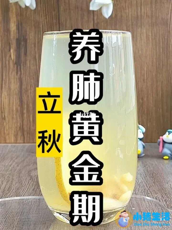 秋天吃什么食物养生