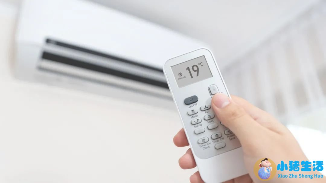 秋天吃什么食物养生