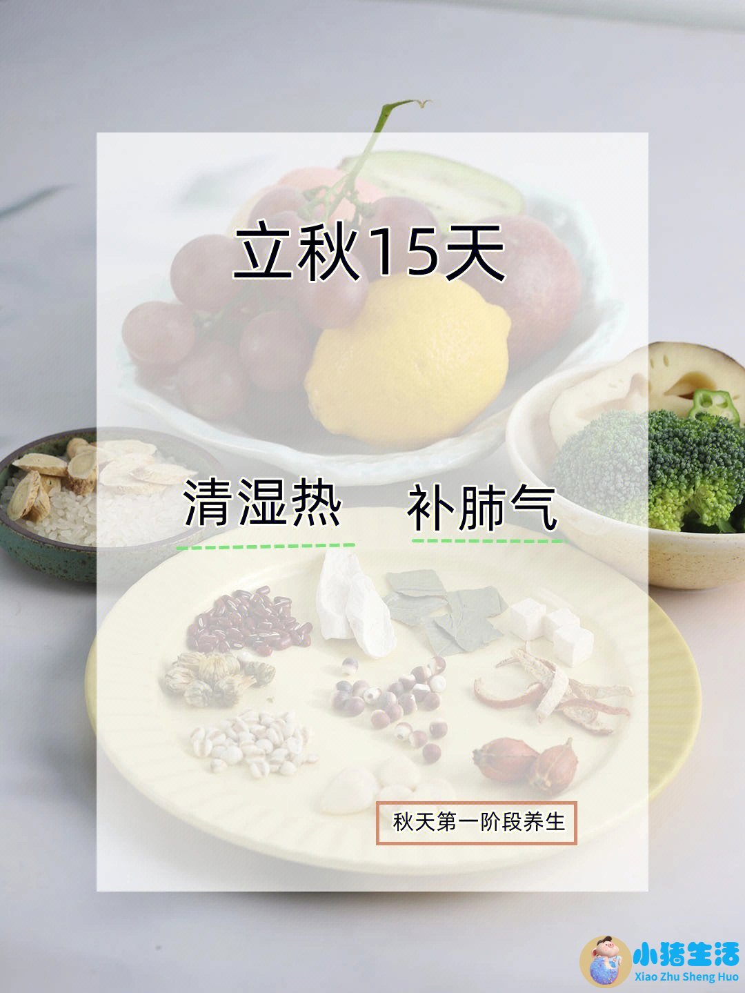 秋天吃什么食物养生