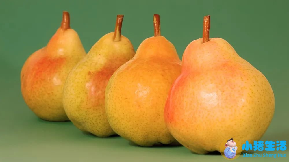 秋天吃什么食物养生