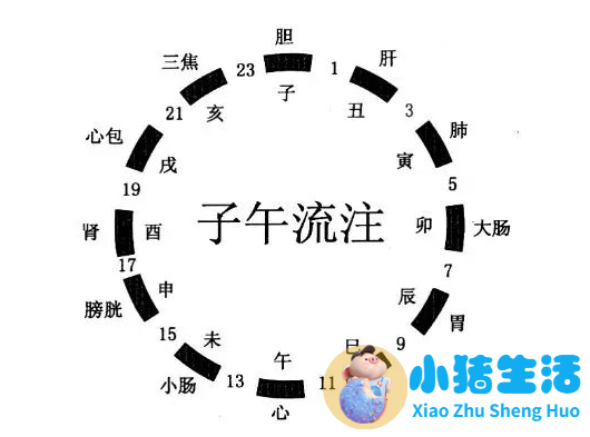 四季养生知识