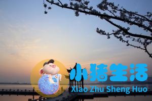 绍兴新昌左于村旅游攻略