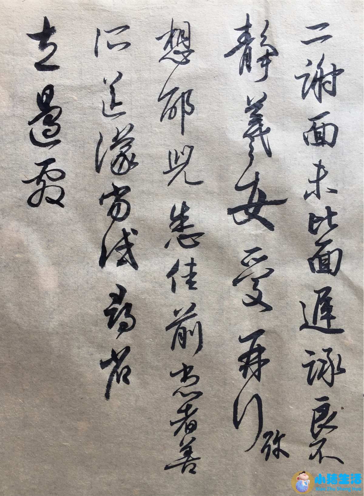 魅力男人书txt