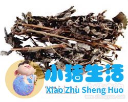 仙鹤草的功效与作用