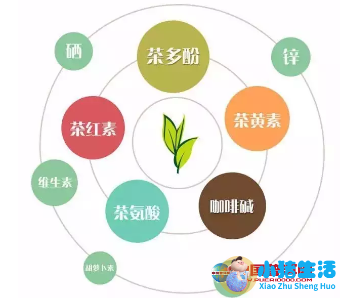 碧螺春的功效与作用及禁忌有哪些