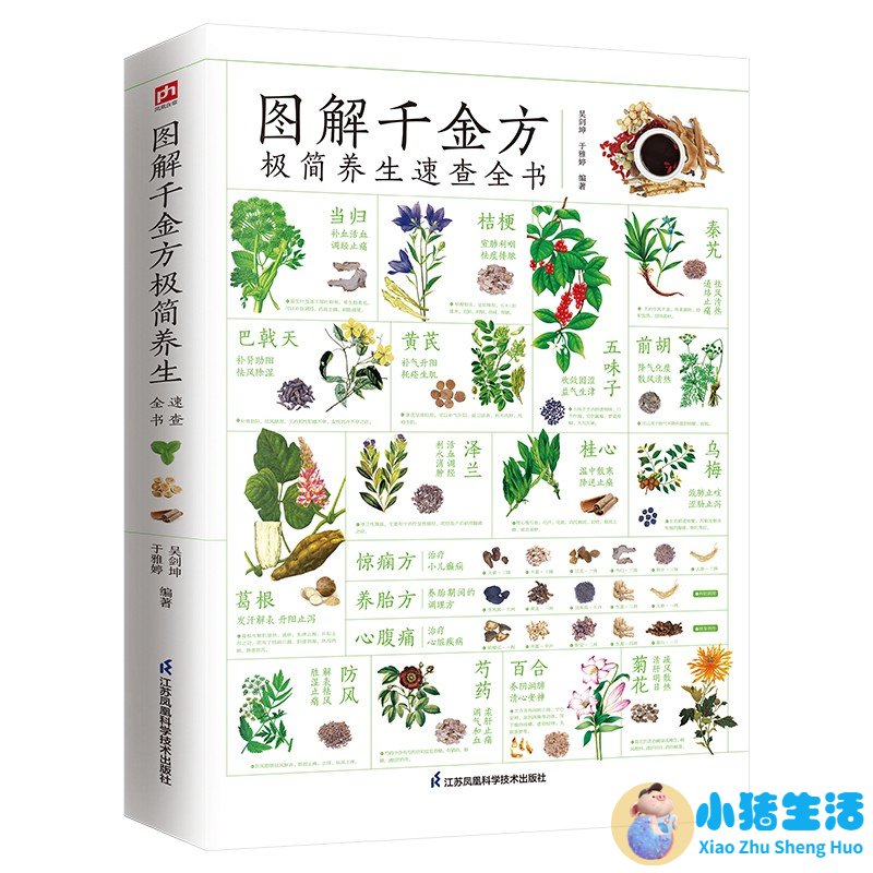 附子理中丸的功效与作用及禁忌