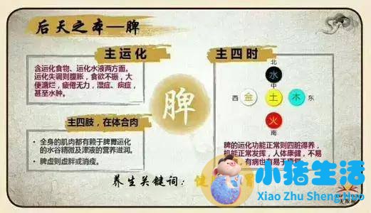 女性春季养生小常识