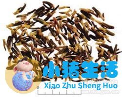 莲子心