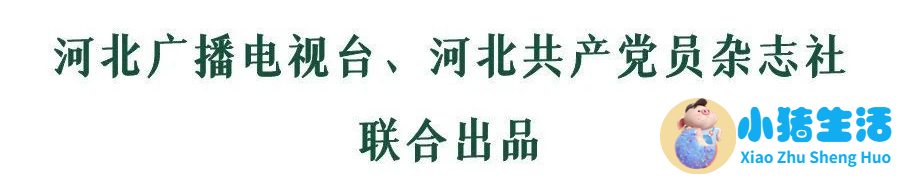 婴幼儿早期教育胜芳