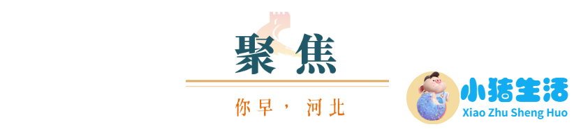 婴幼儿早期教育胜芳