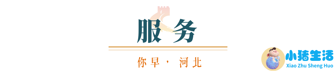 婴幼儿早期教育胜芳