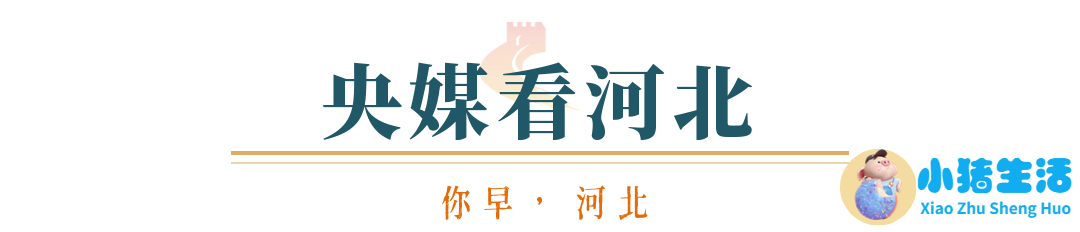 婴幼儿早期教育胜芳