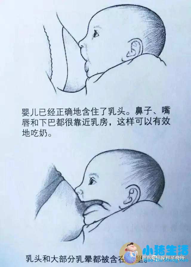 新生儿育儿指南